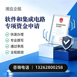 宜宾软件和集成电路专项资金申报服务