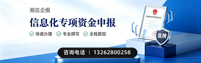 宜宾信息化专项资金申报服务