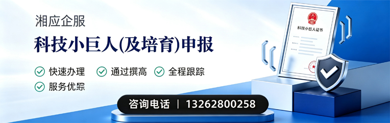 宜宾科技小巨人及培育企业申报服务