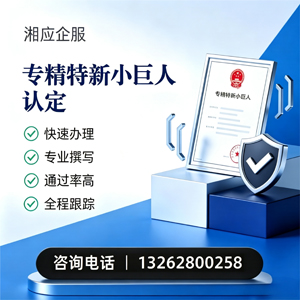 宜宾专精特新小巨人申报服务