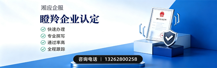 宜宾瞪羚企业认定申报服务
