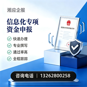 宜宾信息化专项资金申报服务