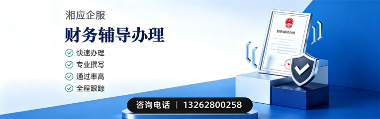 宜宾财务辅导申请服务