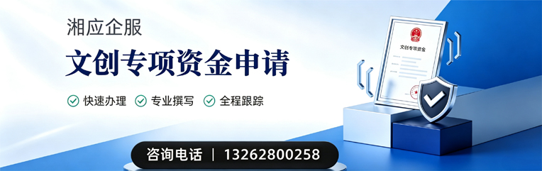 宜宾文创专项资金申报服务