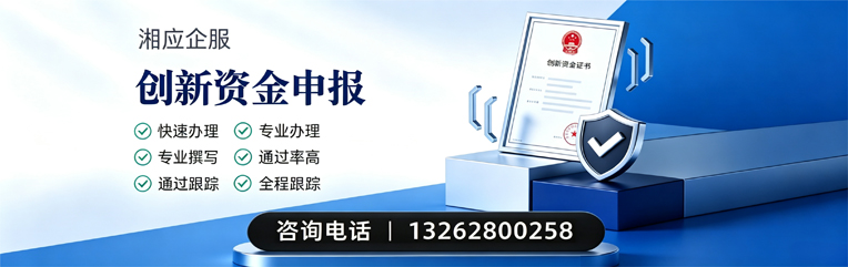 宜宾创新资金申报服务