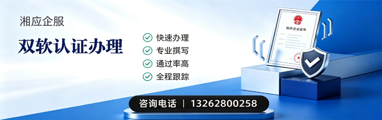 宜宾双软认证申报服务