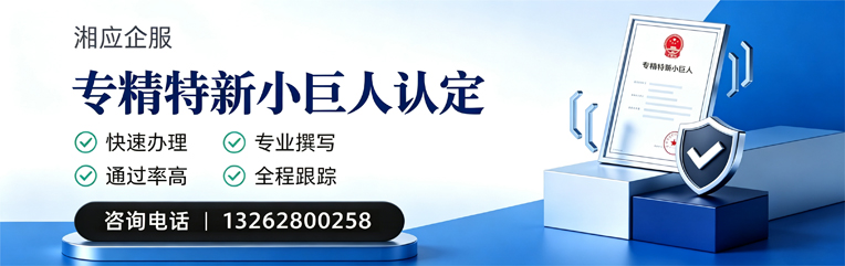 宜宾专精特新小巨人申报服务
